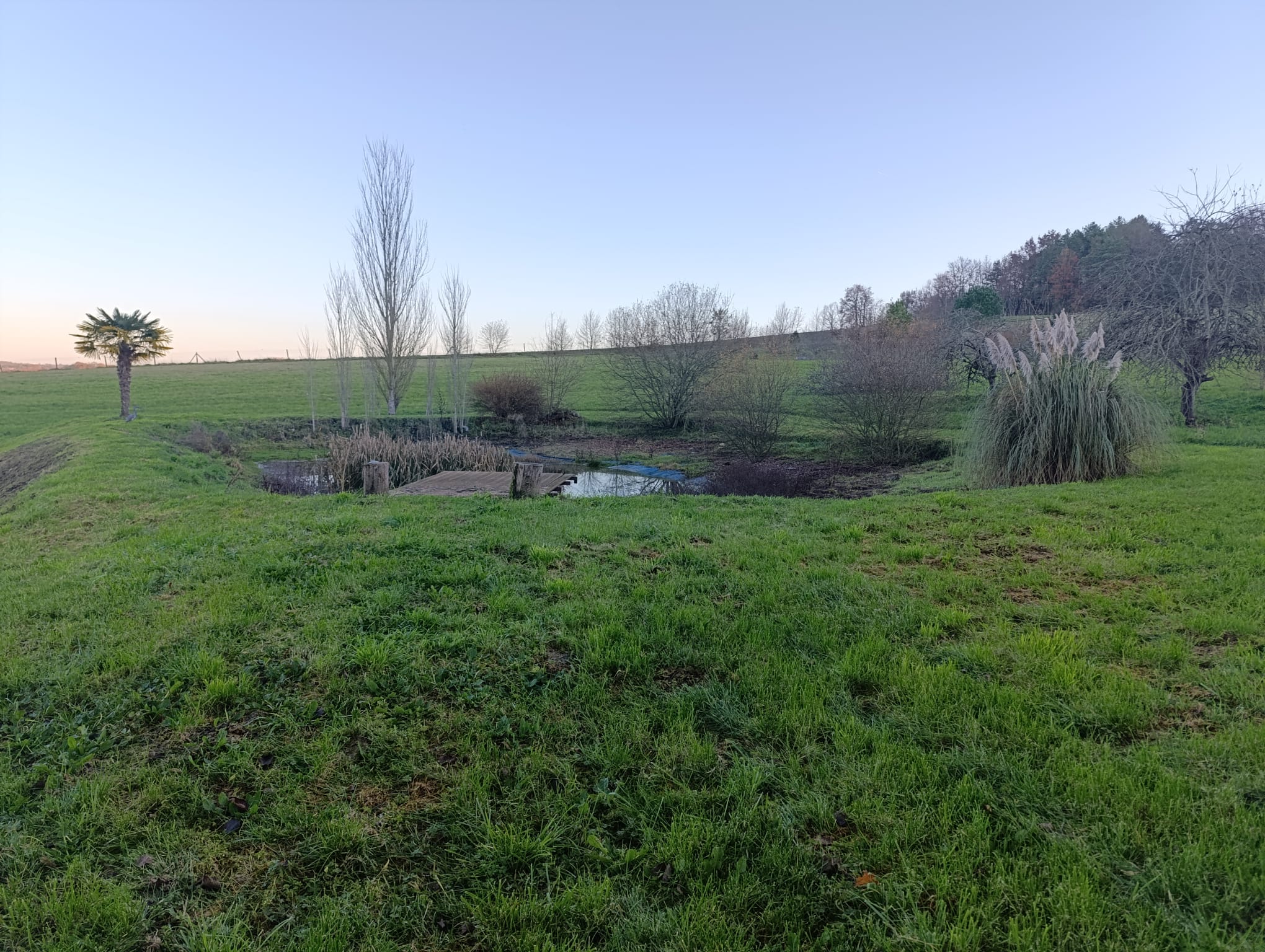 WhatsApp Image 2025-12-14 at 18.30.58 (3)